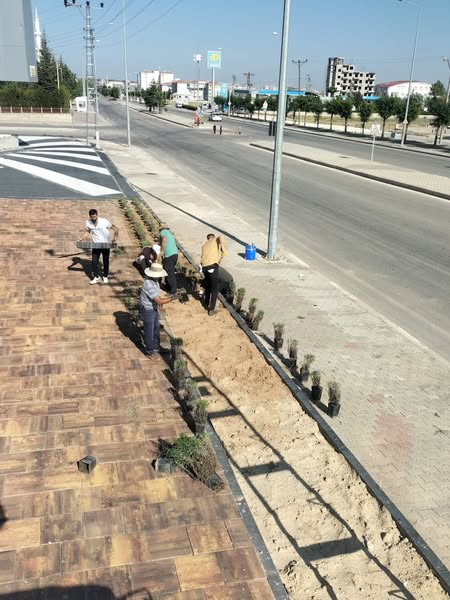 Karaman'da İbrahim Öktem Caddesi'ne Bitkilendirme Çalışması Başladı