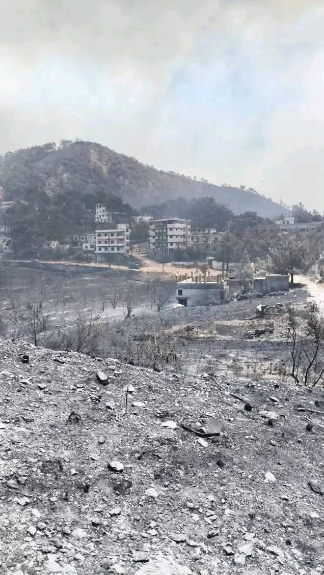 Suriye'de Türkmendağı'nda Orman Yangını: Evler ve Ormanlık Alanlar Zarar Gördü