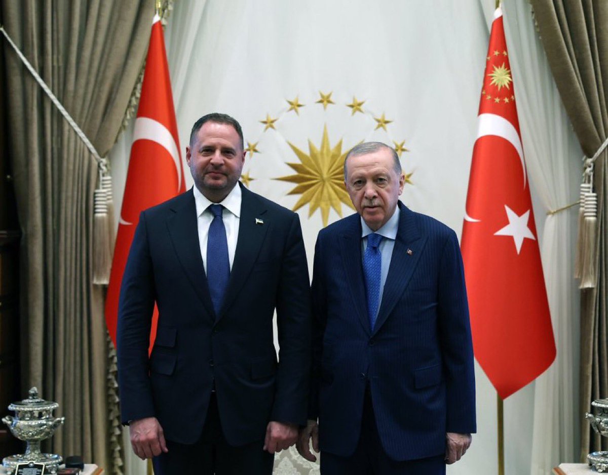 Cumhurbaşkanı Erdoğan, Ukrayna Devlet Başkanlığı Ofisi Müsteşarı Yermak'ı Kabul Etti