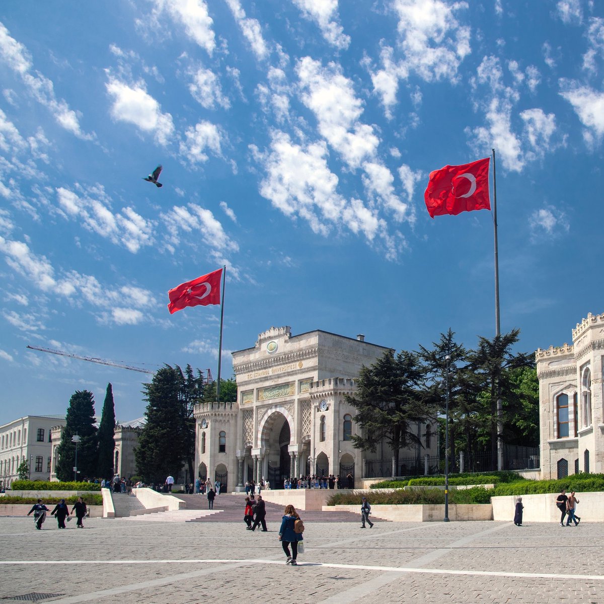 Türkiye'de Üniversite Mezunu İşsizlik Oranı OECD Raporuyla Belirlendi!