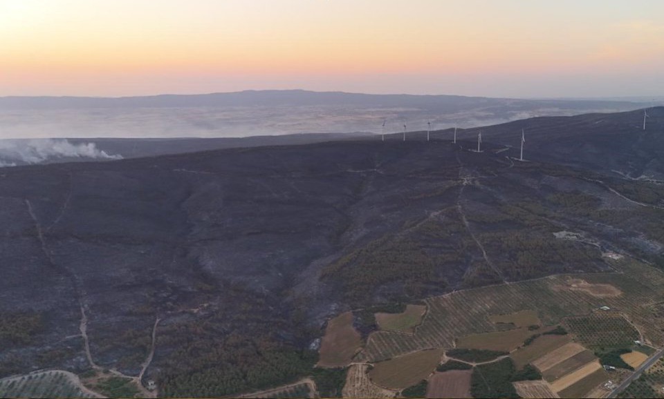 Şarköy Orman Yangını: Zarar Tespiti ve Son Durum