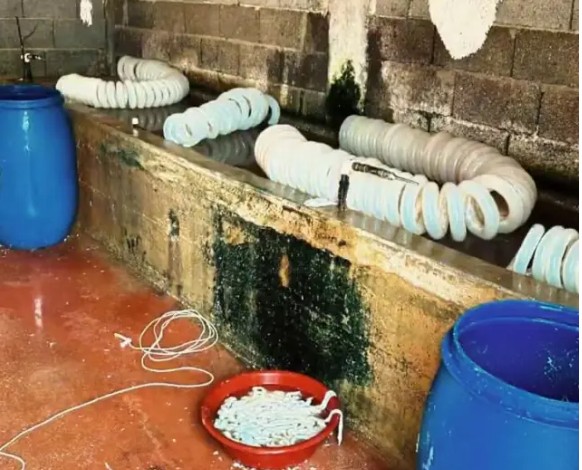 Adana'da Yeni Gıda Skandalı: 5 Tondan Fazla Paça ve Bağırsak Ele Geçirildi!