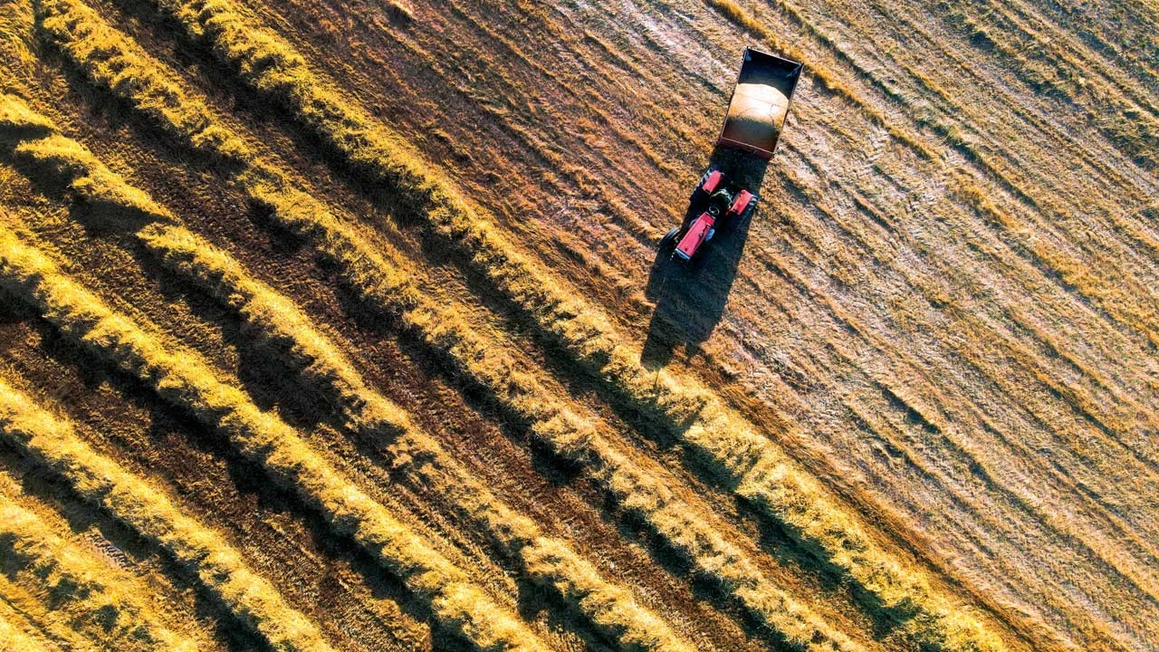 Tarım-ÜFE'de Korkutan Tablo! Türkiye İstatistik Kurumu (TÜİK), Ekim Ayına İlişkin Tarım-ÜFE Verilerini Açıkladı.