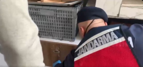 63 İlde Narko-Patrol: Jandarmadan Uyuşturucuya Büyük Darbe!